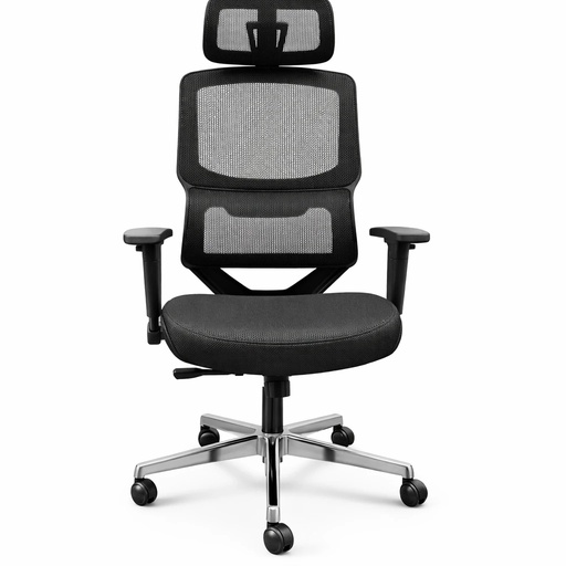 Executive Chair Model TM60